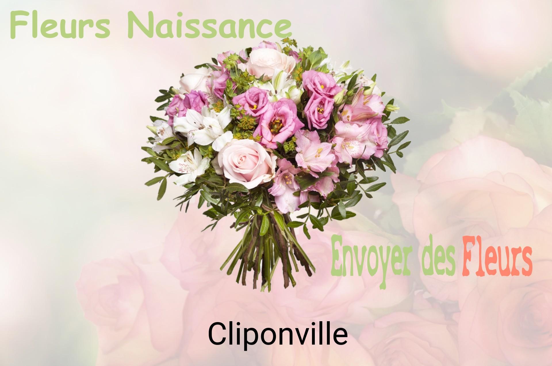 Bouquet de fleurs de naissance livré à Cliponville